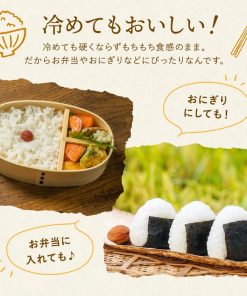 野沢農産 令和6年産 長野県産 ミルキークイーン (10kg, 無洗米)